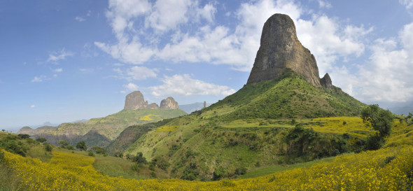 simien